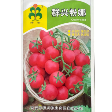 粉红色樱桃番茄种子早熟果实粉红高圆耐裂果