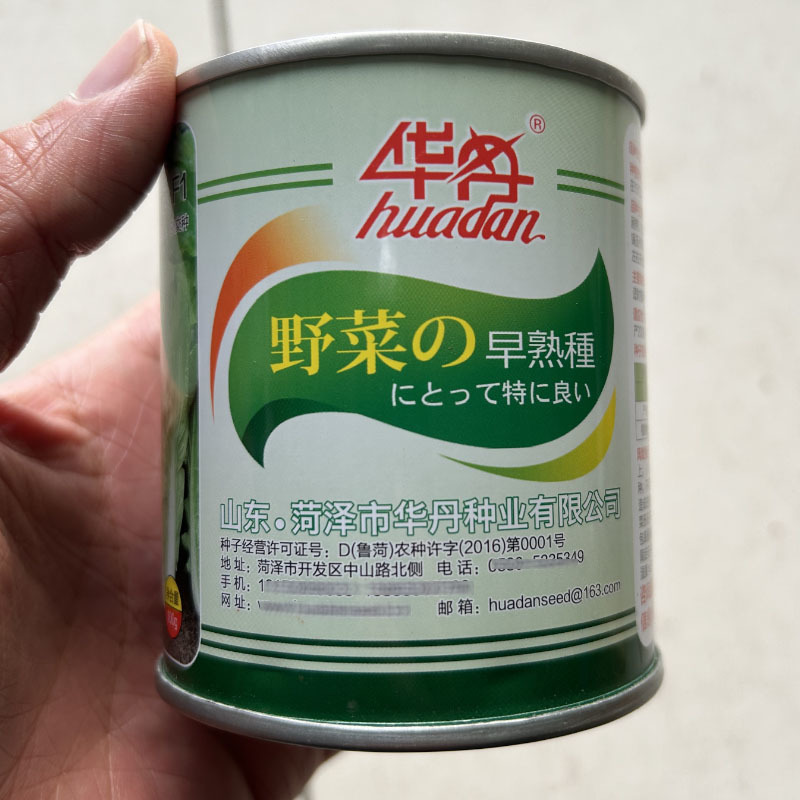 四季快菜种子速生538耐寒耐热小白菜黄心20天上市
