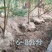 鹰嘴蜜桃苗现挖现发成活率高可视频看货顺丰包邮