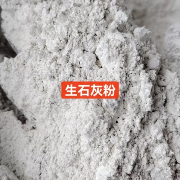 生石灰颗粒货源充足量大价优全国发货可对接电商