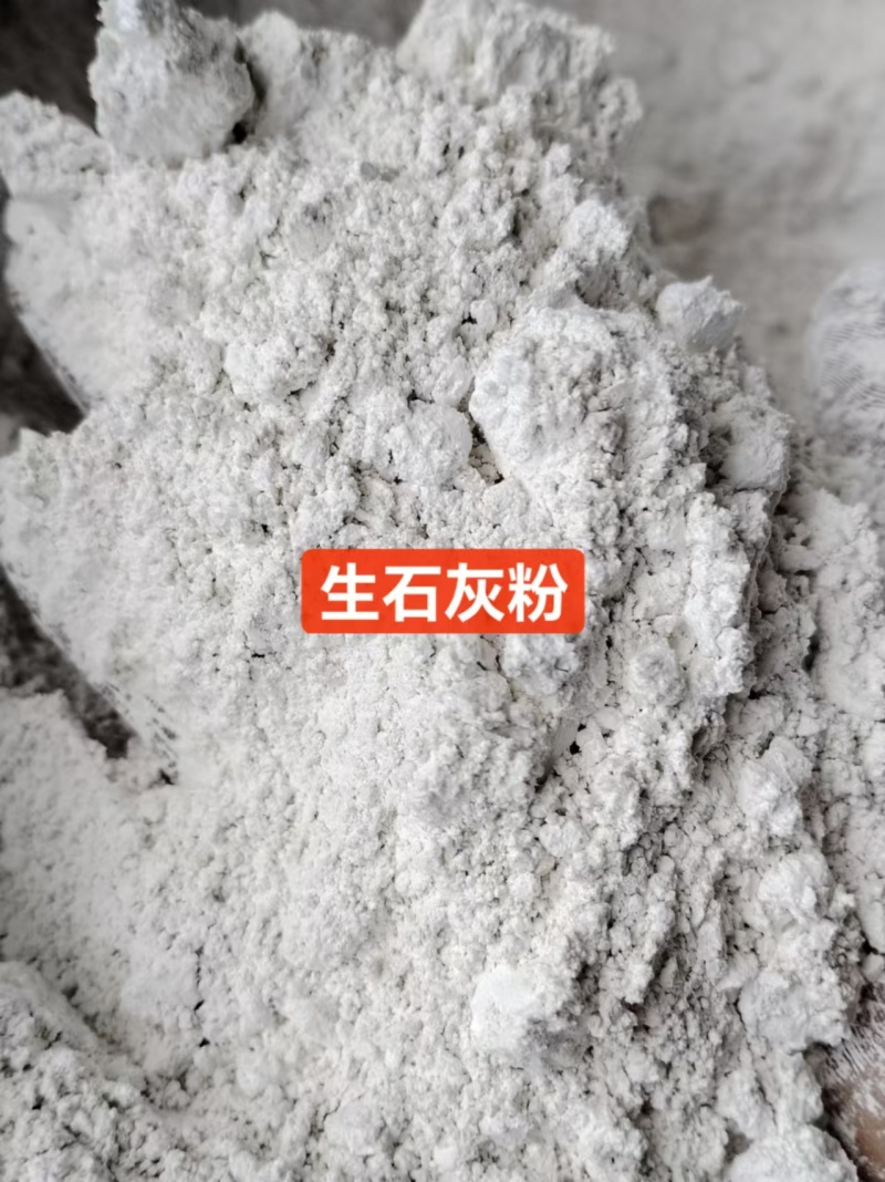 生石灰颗粒货源充足量大价优全国发货可对接电商
