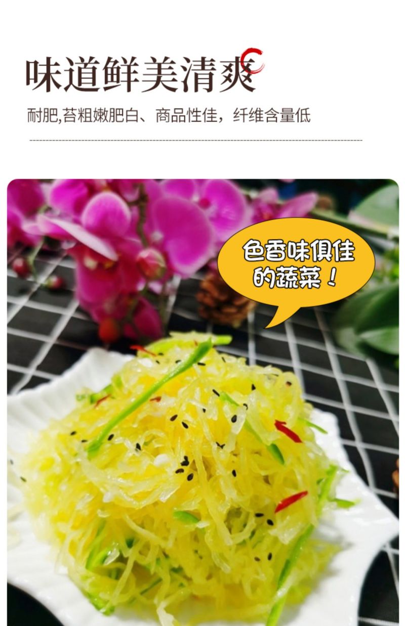 拍砸一号金丝搅瓜种子金丝瓜种子抗病果实椭圆