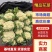花菜松花菜产地一手货源对接全国批发市场量大优惠