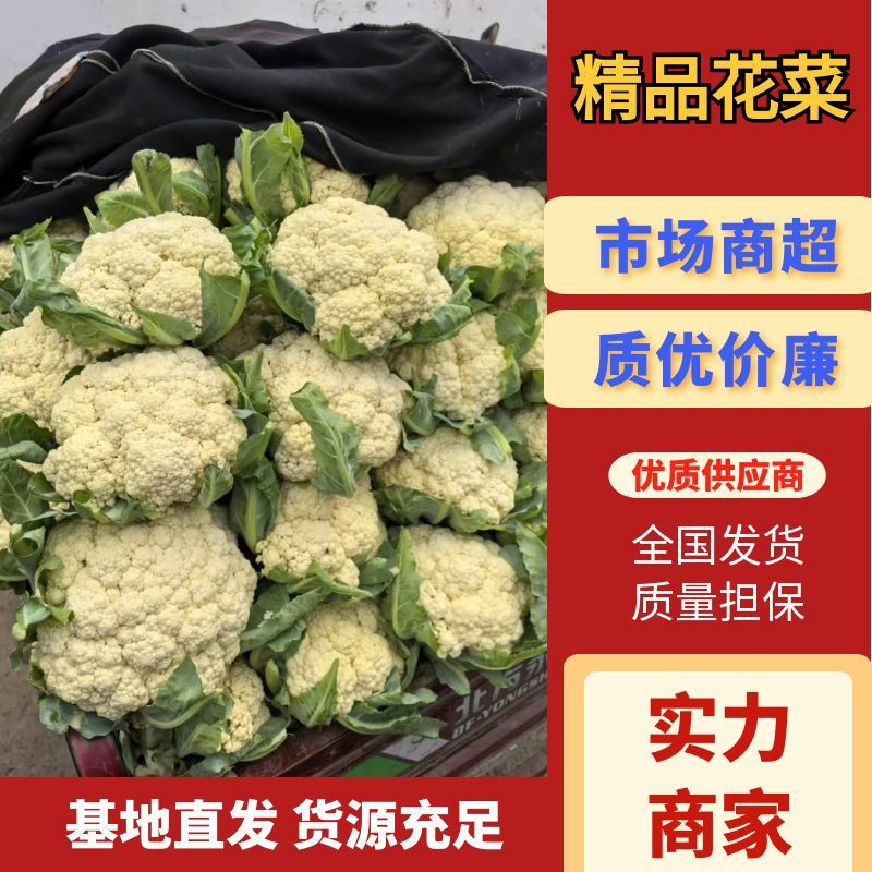 花菜松花菜产地一手货源对接全国批发市场量大优惠