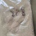 抛光玉米芯颗粒厂家直销量大质优优惠欢迎各大老板采购