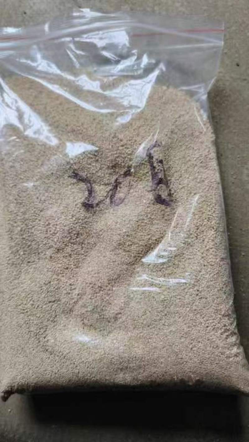 抛光玉米芯颗粒厂家直销量大质优优惠欢迎各大老板采购