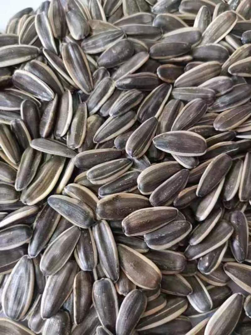 361葵花籽瓜子量大质优厂家直销一手货源保质保量