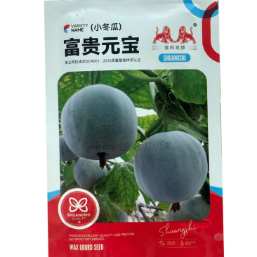 粉皮小冬瓜种子果实圆筒型肉质致密果腔小口感甜脆