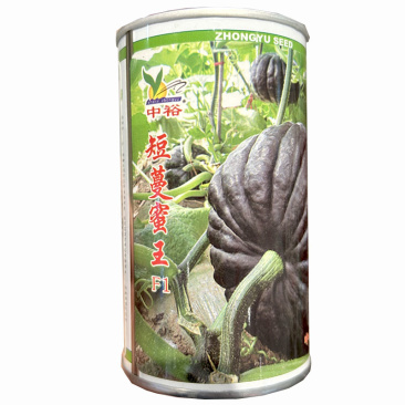 短蔓蜜王种子短蔓黑皮南瓜早熟黑贝贝南瓜种子