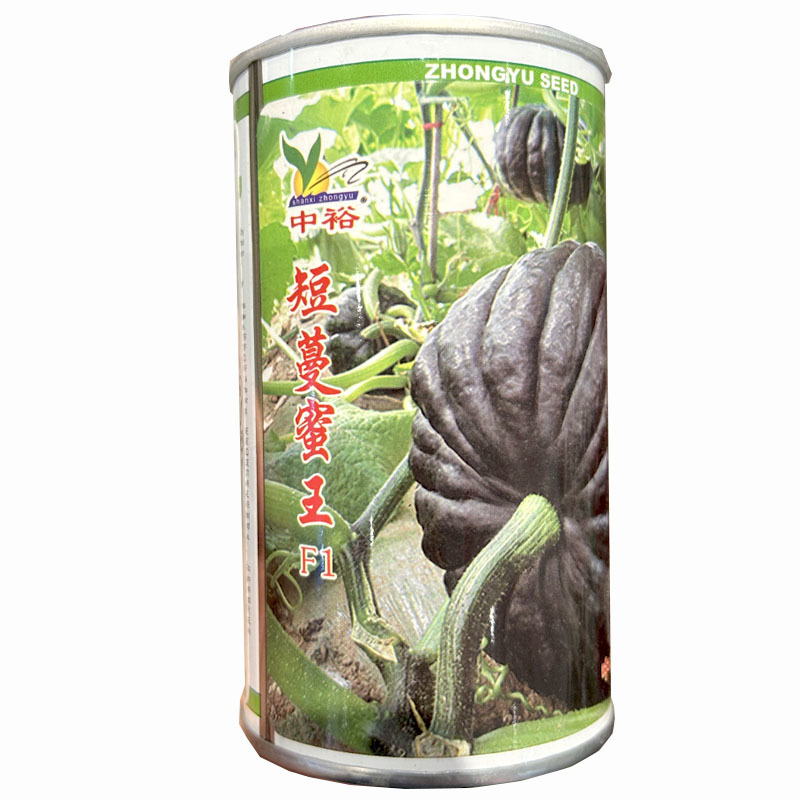 短蔓蜜王种子短蔓黑皮南瓜早熟黑贝贝南瓜种子