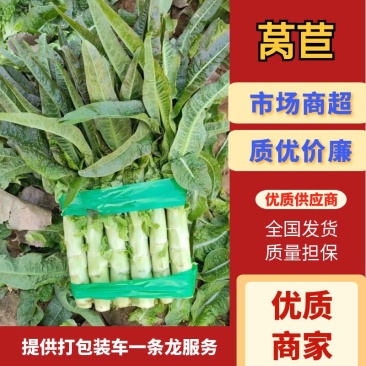 精品莴苣、质量优等、做工精细、服务**、