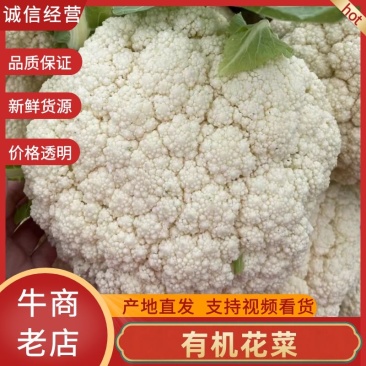 精品有机花、产地直供、货源充足、质量保证、