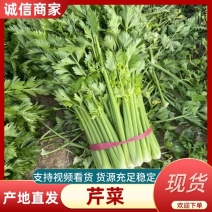 芹菜河南商丘精品西芹价格便宜现货速发