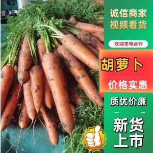 精品胡萝卜，产地直供，货源充足，质优价廉