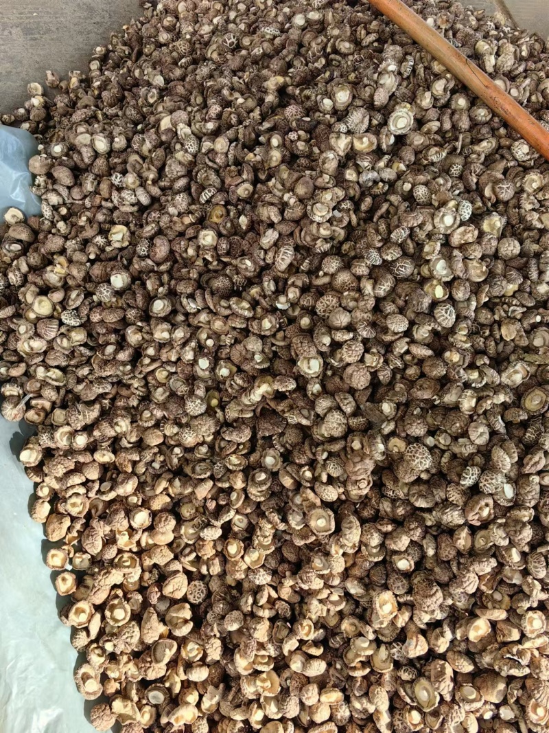 干香菇干茶花菇货源充足稳定规格齐全欢迎进店采购量大从优