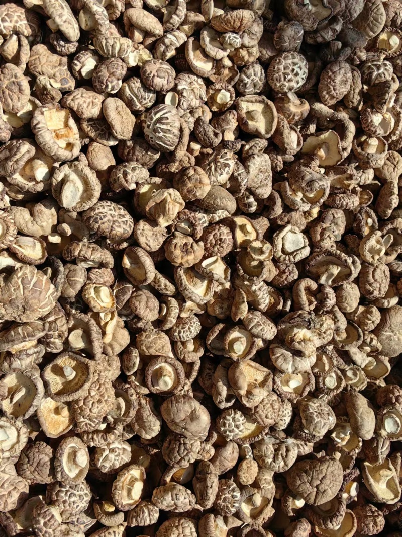 干香菇干茶花菇货源充足稳定规格齐全欢迎进店采购量大从优