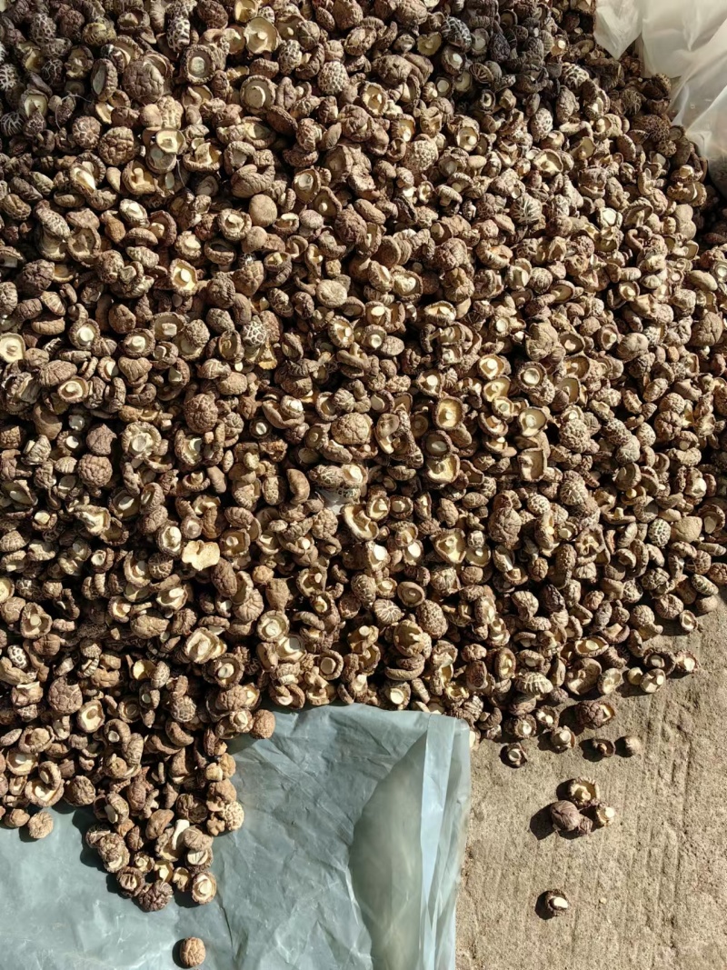 干香菇干茶花菇货源充足稳定规格齐全欢迎进店采购量大从优