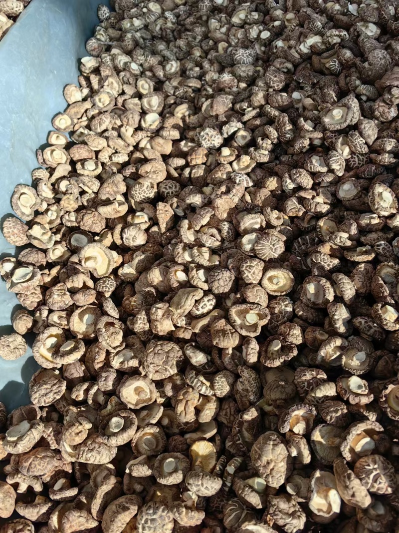干香菇干茶花菇货源充足稳定规格齐全欢迎进店采购量大从优