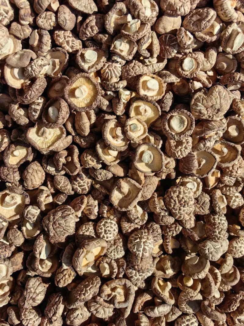干香菇干茶花菇货源充足稳定规格齐全欢迎进店采购量大从优
