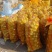 精品土豆陇七土豆量大从优质量保证量大从优欢迎咨询