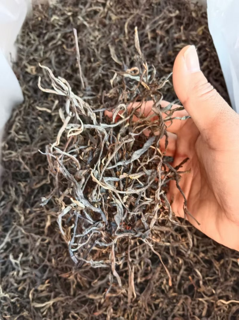 云南大叶种茶叶高山云雾茶，保质保量，价格美丽