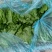 精品生菜一手货源产地直发量大质优可视频看货欢迎咨询