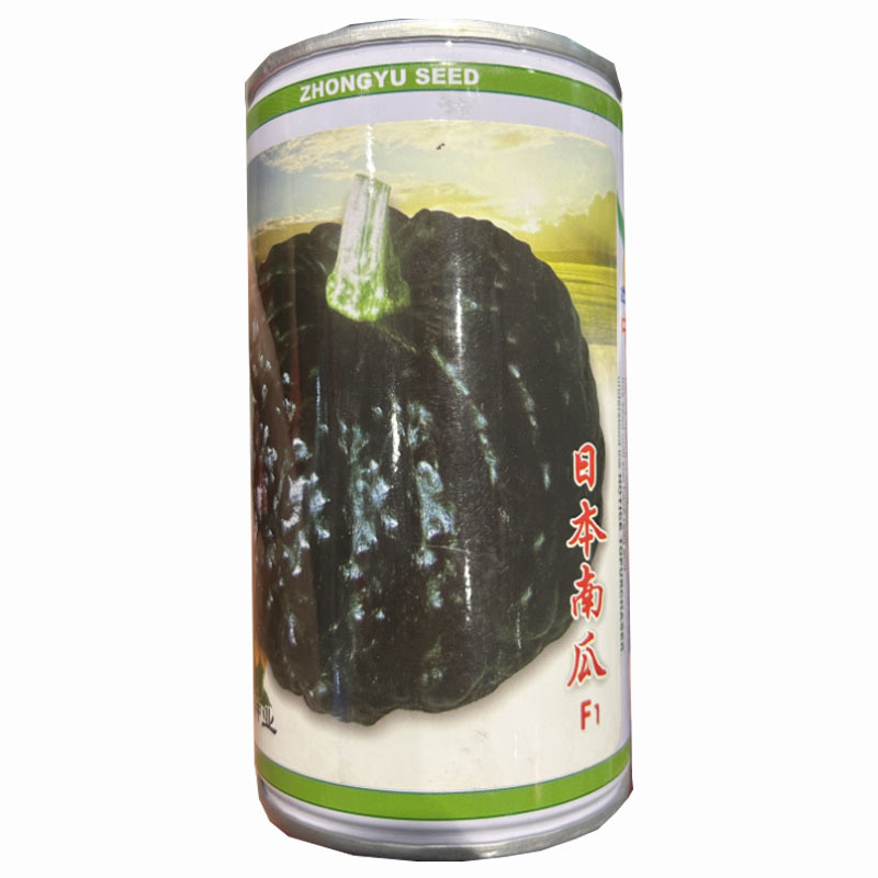 日本南瓜种子黑皮南瓜疙瘩杏黄色肉厚干面甜基地品