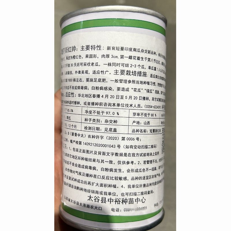 板栗南瓜种子短蔓新红帅印度杂交南瓜肉厚甜面
