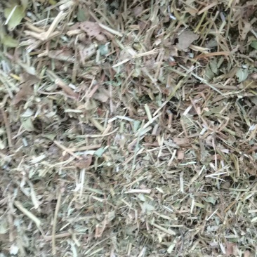 【花生秧】山东花生秧货量大无杂无膜按需求轧段无霉变圆包方