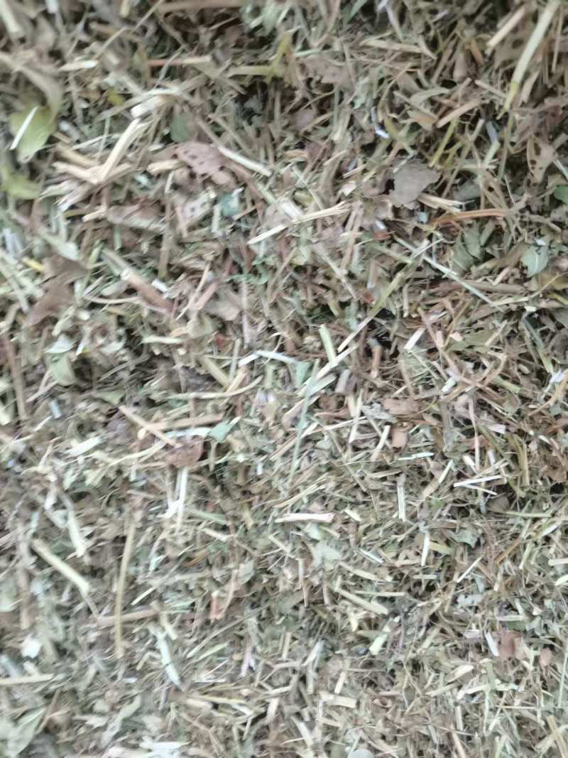 【花生秧】山东花生秧货量大无杂无膜按需求轧段无霉变圆包方
