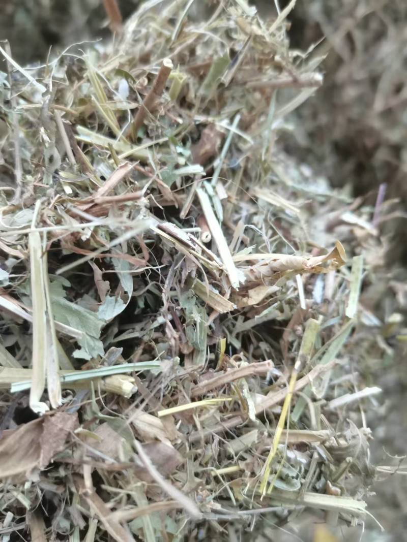 【花生秧】山东花生秧货量大无杂无膜按需求轧段无霉变圆包方