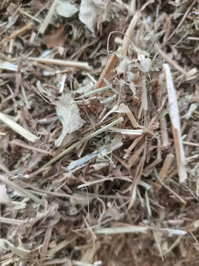 【花生秧】山东花生秧货量大无杂无膜按需求轧段无霉变圆包方