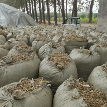 【花生秧】山东牧草花生秧接养殖样加工常年有货全国接单圆包