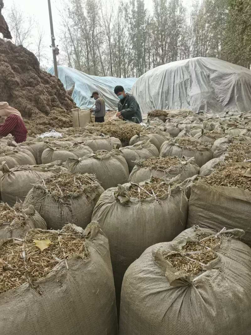 【花生秧】山东牧草花生秧接养殖样加工常年有货全国接单圆包