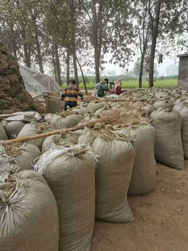 【花生秧】山东牧草花生秧接养殖样加工常年有货全国接单圆包