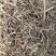 【花生秧】山东牧草花生秧接养殖样加工常年有货全国接单圆包