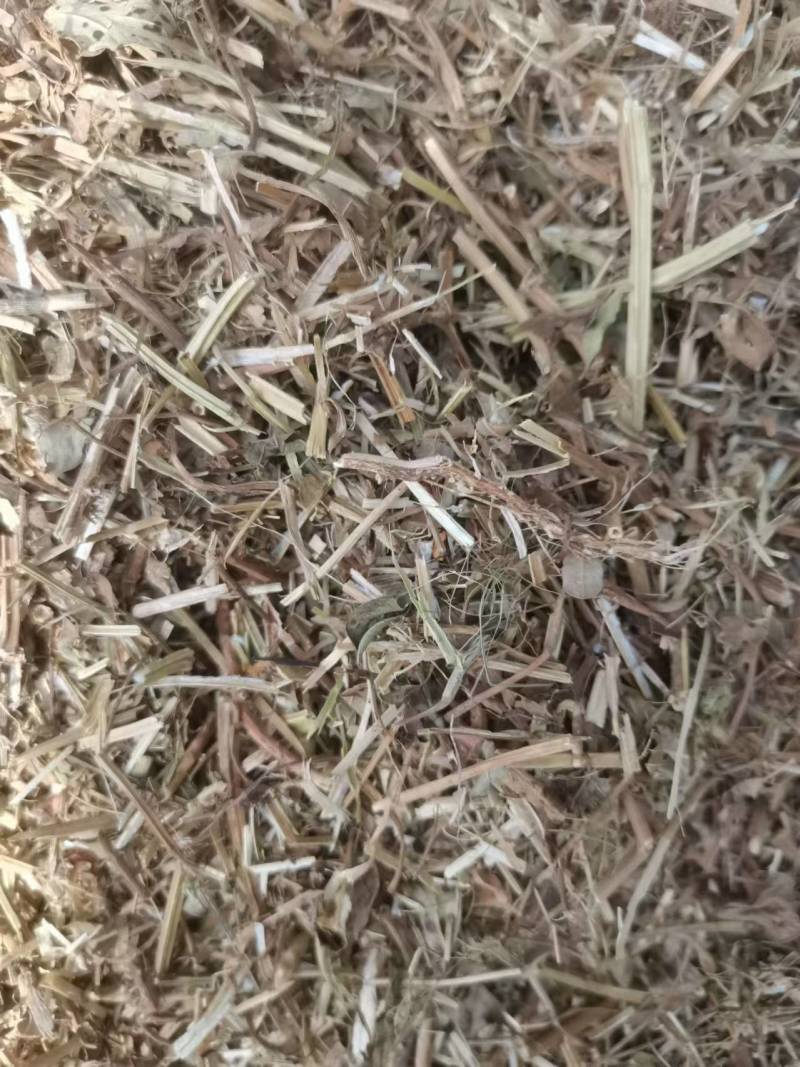 【花生秧】山东牧草花生秧接养殖样加工常年有货全国接单圆包