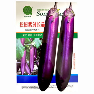 广东红茄种子松田紫剑长茄紫红抗病基地大面积种植