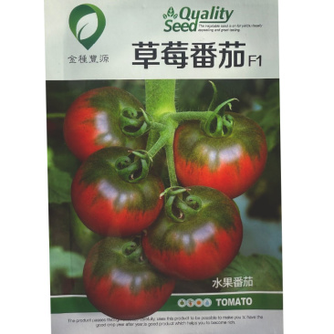 草莓番茄种子铁皮柿子水果番茄种子带绿肩脆甜无渣
