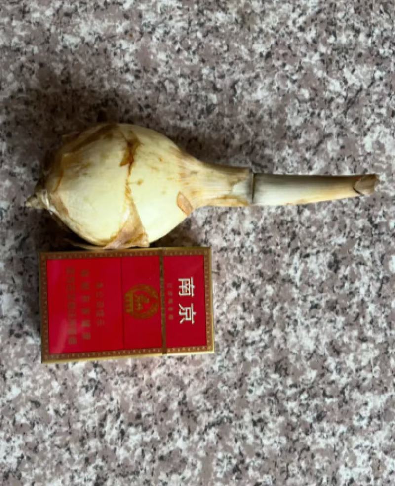 慈菇颜色白亮，圆润规格齐全一手货源全国发货保质保量