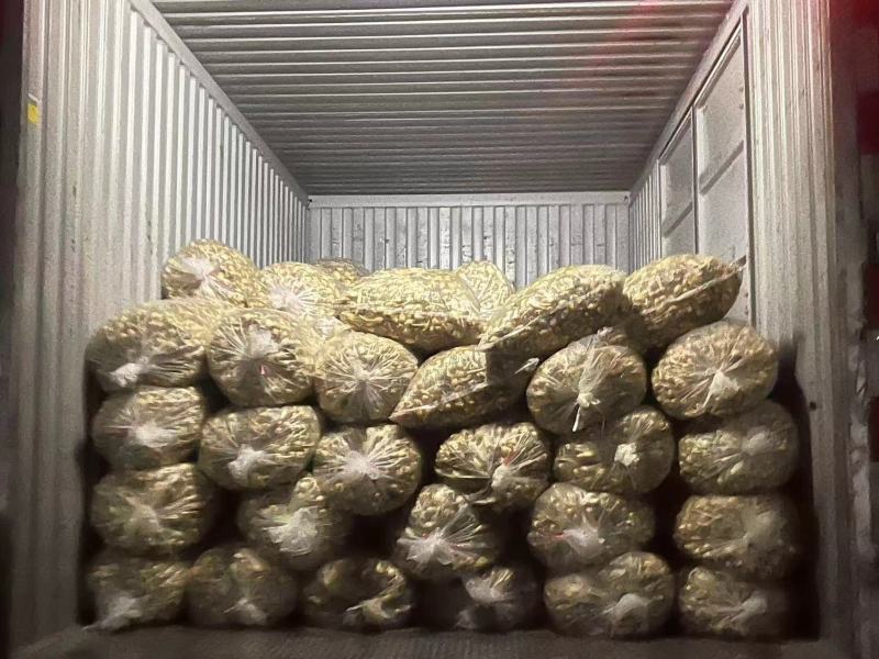 慈菇颜色白亮，圆润规格齐全一手货源全国发货保质保量