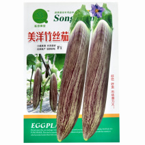 美洋竹丝茄种子糯米茄花茄子面包花烧烤茄子种子