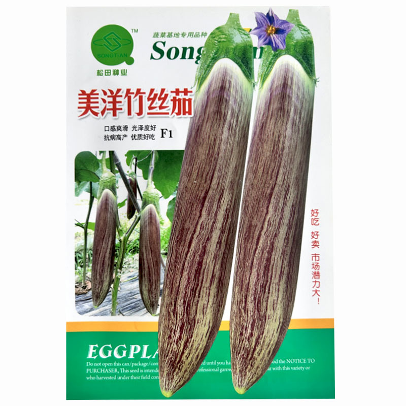 美洋竹丝茄种子糯米茄花茄子面包花烧烤茄子种子
