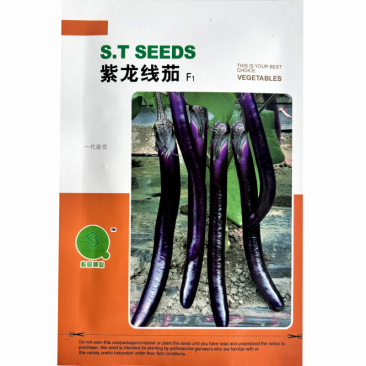紫龙线茄子种子紫红长茄细长艳丽早熟座果多抗病高产