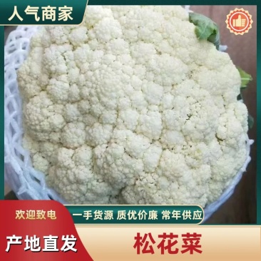 【实力】花菜有机花菜河北产区直发保质保量供货