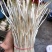 鱼腥草嫩芽，自家种植，特色:香，脆，嫩，土特产，现挖现发