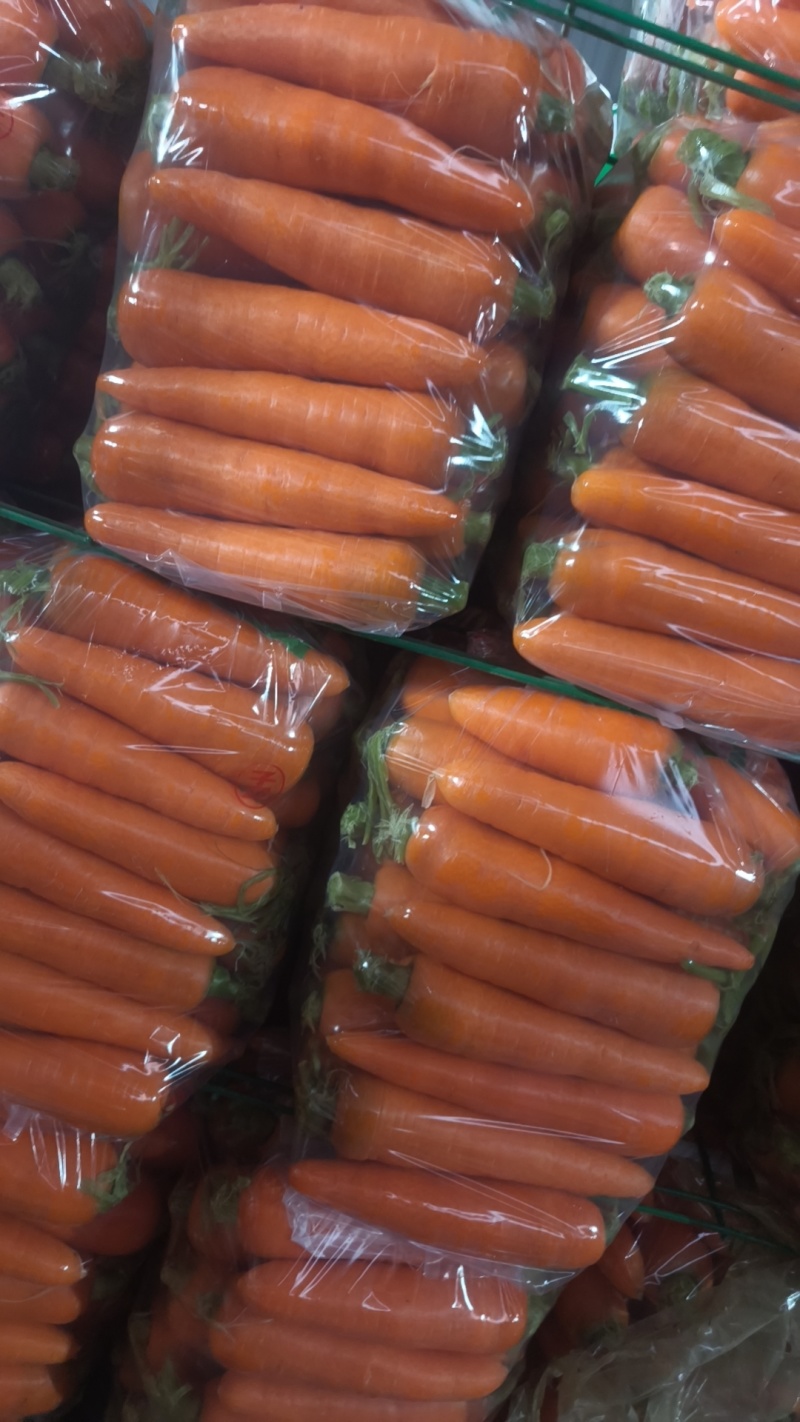 【热卖】河南精品胡萝卜三红胡萝卜产地直发全国可视频看货