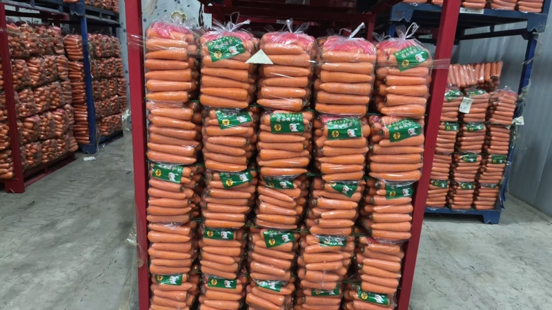 【热卖】河南精品胡萝卜三红胡萝卜产地直发全国可视频看货