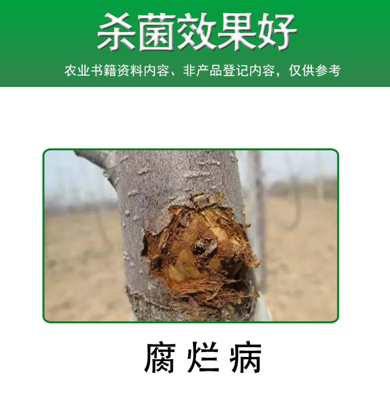 绿云腐迪腐殖硫酸铜腐烂病果树园林干腐病涂抹愈合流胶锯口处
