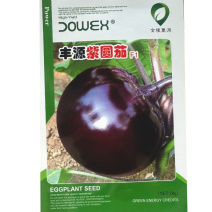 紫圆茄种子果实油光紫红果肉绿白耐热耐寒